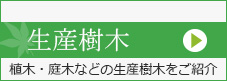 取扱樹木