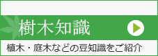 樹木知識
